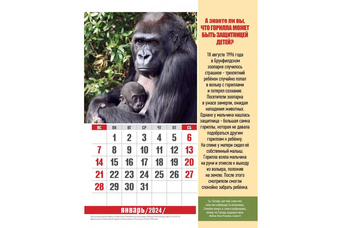 Купить Календарь Пружина 22х30 Эти удивительные животные (Детский календарь),  арт.522704
