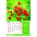 Календарь Пружина 29х45 Сила Любви, арт.524505